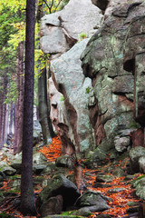 Large Rocks in Mountain Forest