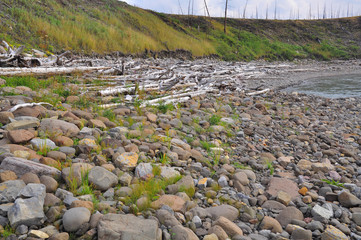 Pebbles and cobbles on the banks of river.