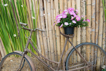 Fototapeta na wymiar Vintage old bicycle with flowers