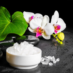 beautiful spa concept of white orchid flower, phalaenopsis, gree