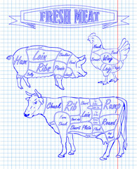 section diagram of a pig cow and chicken