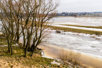 Narew w Surażu