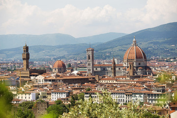 Fototapeta na wymiar Panoramic view of Florence
