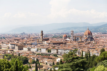 Fototapeta na wymiar Panoramic view of Florence