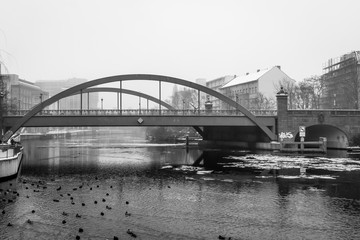 river, bridge, ice and birds in the city