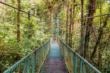 Fototapeta na wymiar Hanging Bridges in Cloudforest - Monteverde, Costa Rica