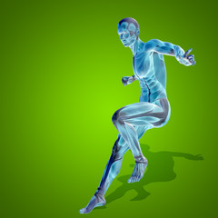 Conceptual 3D human man health anatomy on green