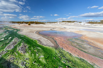 Norris Geyser Basin Yellowstone National Park, Wyoming, USA