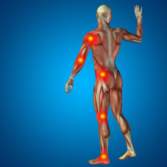 3D human man pain anatomy on blue background