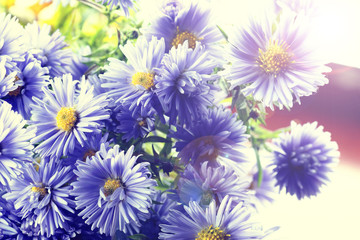 Obraz premium wild flowers bouquet rings