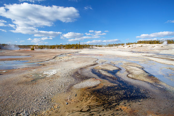 Norris Geyser Basin,Yellowstone National Park, Wyoming, USA