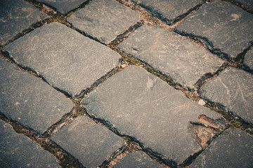 Paving stone closeup