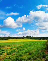 Summer rural landscape. Blue sky with cloudsand and field of green grass. Sunny day in the countryside.