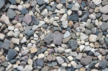 Several stones of different shapes along a path.