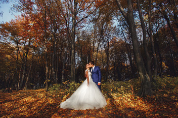 Romantic, happy newlywed couple hugging in autumn park at sunset