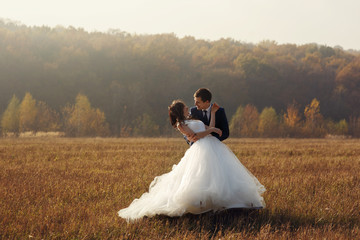Romantic fairytale newlywed couple hug in field at sunset