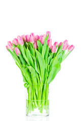Spring tulips in the vase on white background