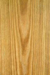 oak wood texture