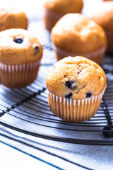 Homemade blueberry myffins on cooling tray