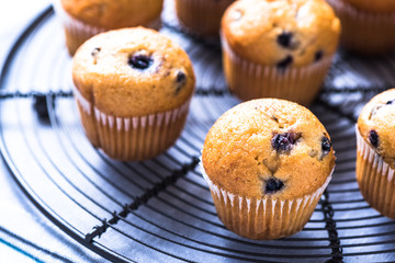 Homemade blueberry myffins on cooling tray