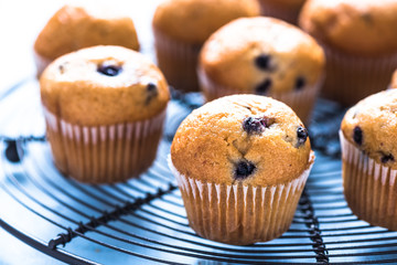 Homemade blueberry myffins on cooling tray