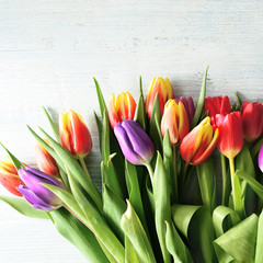 Fototapeta premium tulipany
