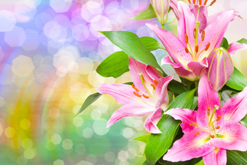 Close up of pink lilies