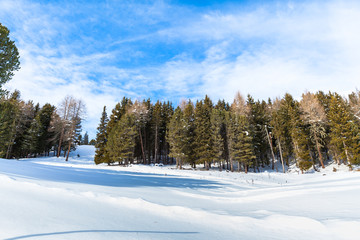 Winter view of sky, forest and snow