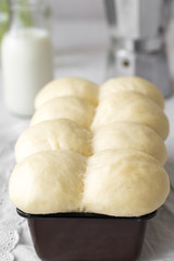 Brioche dough on a tray. Baked concept