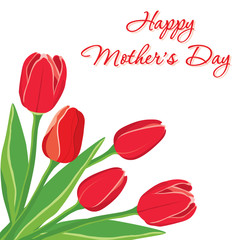 Postcard with red tulips. Vector illustration.