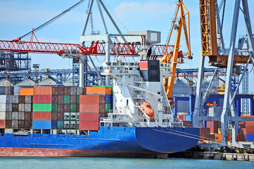 Cargo crane and ship