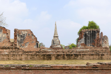 Fototapeta na wymiar Wat Maha That,ancient temple in Ayuthaya historical,Thailand