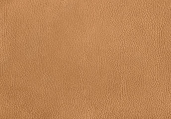 leather surface