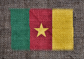 Cameroonian flag printed on fabric