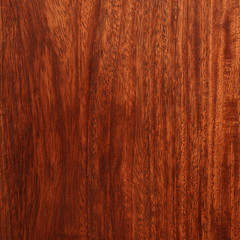 Natural Wood Series / 
High resolution image of textured natural wood shot in studio.