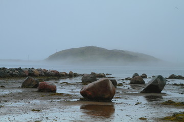Rocky shore