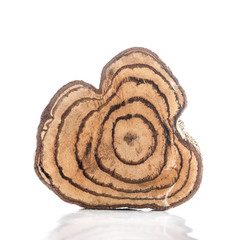 Tree stump