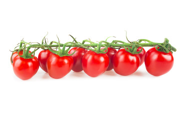 tomatoes on the vine isolated on white