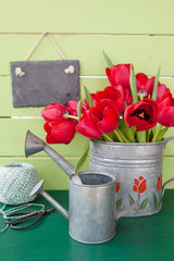 Rote Tulpen in vintage Kanne