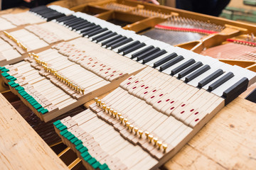 Piano keys for grand piano