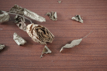 The last valentine rose.