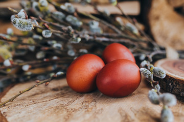 Easter eggs on a wooden background with branch of willow