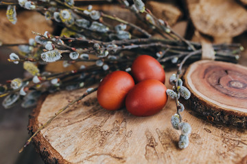 Easter eggs on a wooden background with branch of willow