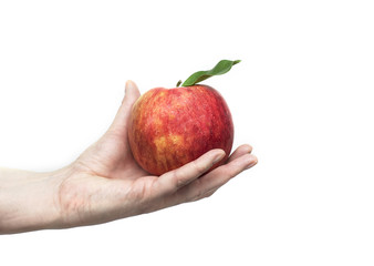 hand holding a red apple