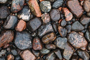 Sea pebble / sea stones background