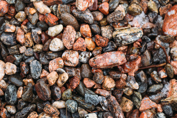 Sea pebble / sea stones background
