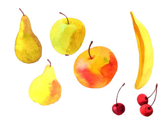 watercolor drawing fruits