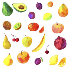 watercolor drawing fruits