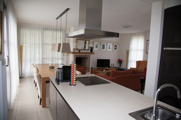 Gourmet grey kitchen in a lovely home