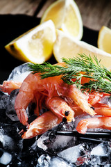 Chilled large shrimps on crushed ice with dill and lemon, select